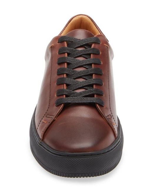 Frye Brown Astor Sneaker for men