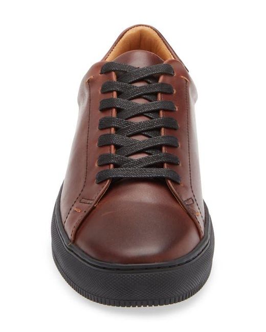 Frye Brown Astor Sneaker for men