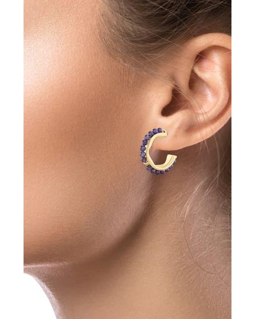Jardin Metallic Cubic Zirconia Hoop Earrings