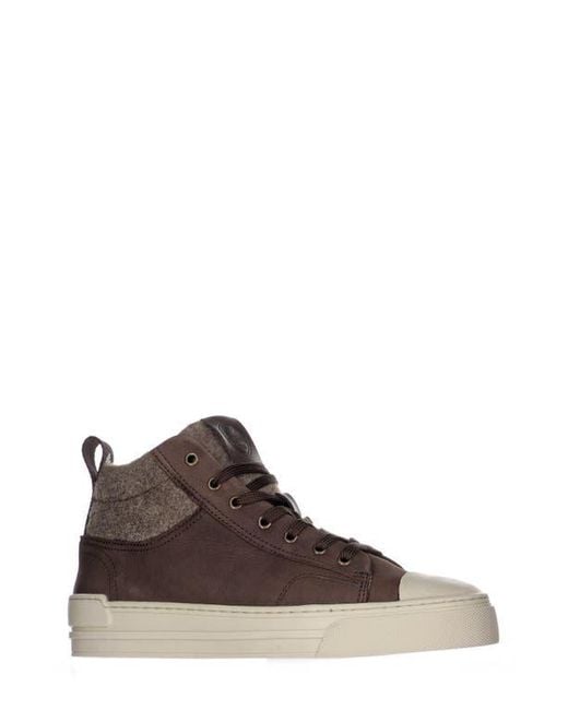 Pajar Brown Tray Wool Lined Mid Top Sneaker for men