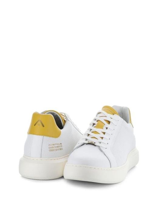 Ambitious White 10634A Low Top Sneaker for men
