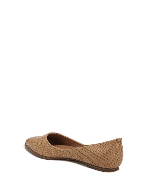 Zodiac Brown Hill Pointed Toe Flat