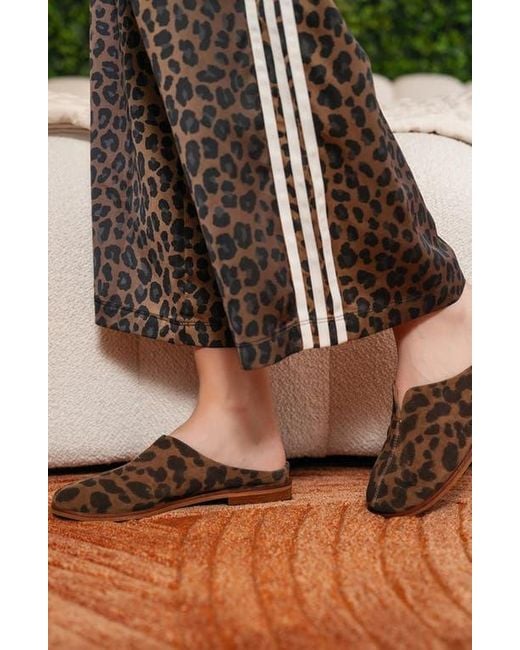 Antelope Black Leona Clog