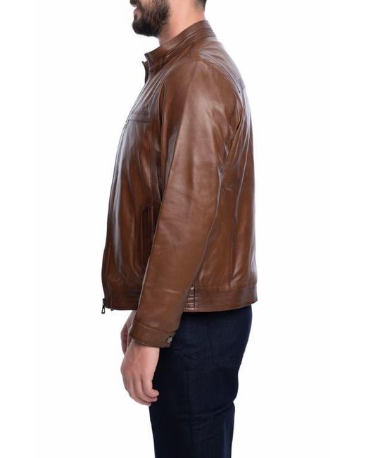 VELLAPAIS Brown Lisbon Leather Jacket for men