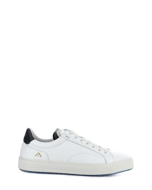 Ambitious White 11218 Low Top Sneaker for men