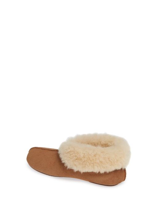 ugg roo slipper
