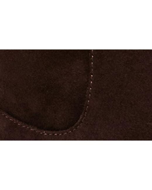 Steve Madden Brown Dantelle Knee High Boot