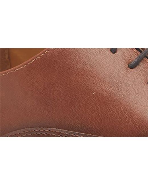 Abound Brown Harry Cap Toe Derby for men