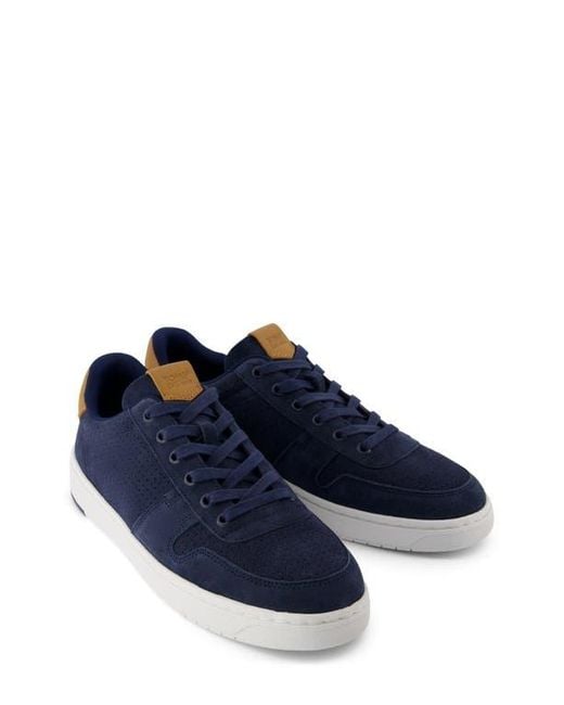 TOMS Blue Court Sneaker for men