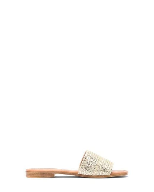 Seychelles Metallic I'M