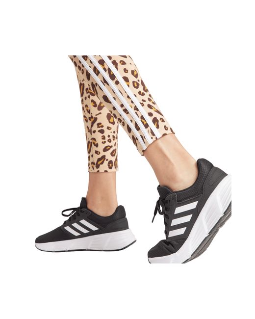 Adidas Multicolor 3-stripes Leopard Print High Waist Leggings