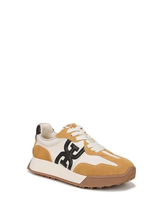 Sam Edelman Multicolor Langley Sneaker