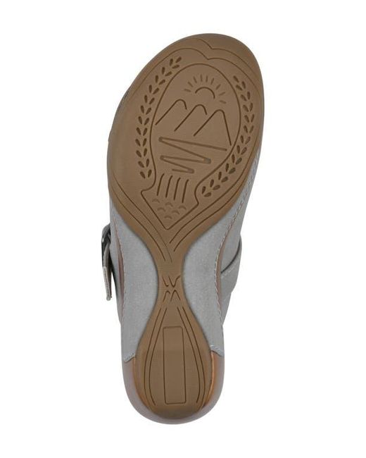 White Mountain Gray Viewed Mule