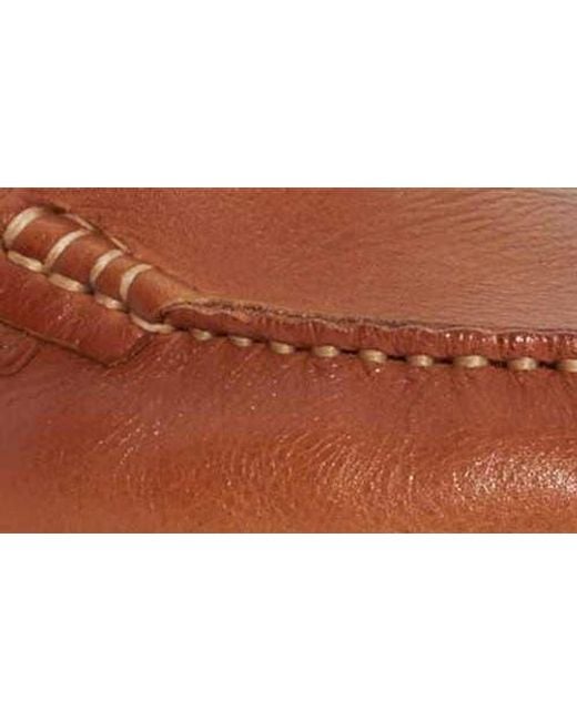 Dune Brown Buftonn Loafer for men