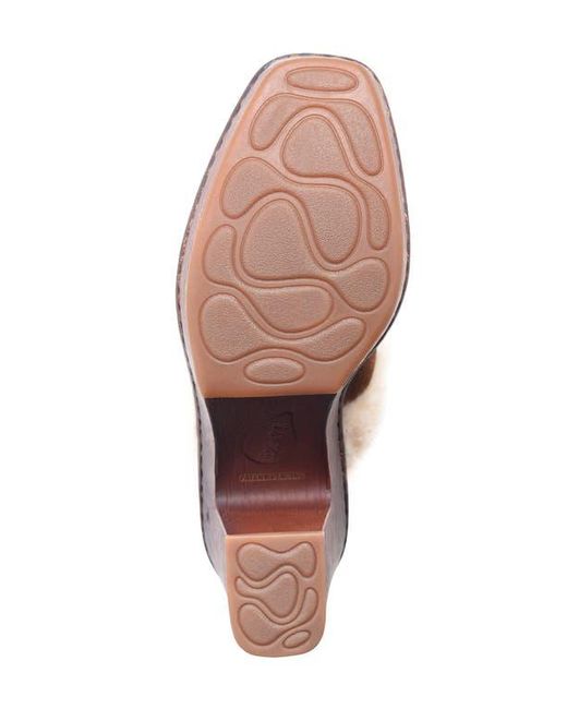 Børn Brown Hope Genuine Shearling Trim Clog