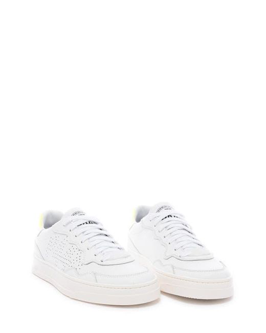 P448 White Corbali Sneaker for men