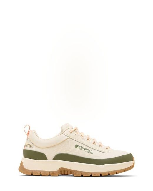 Sorel White Outing Nw Low Sneaker for men