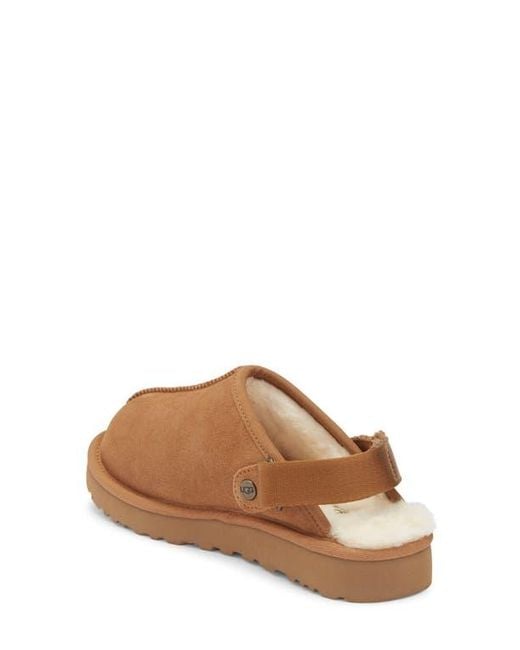 Ugg Brown Lanah Clog