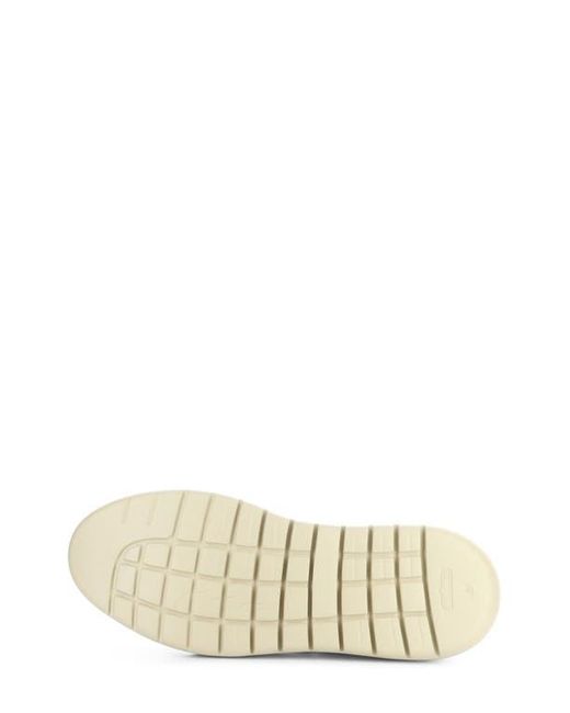 Ambitious Brown 12981B Low Top Sneaker for men