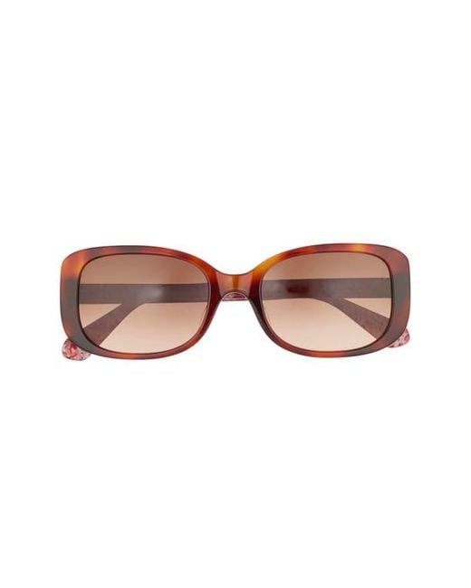 Kate Spade Brown Dionnas 52Mm Rectangular Sunglasses