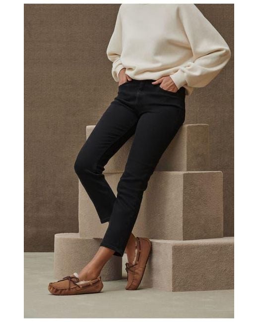 Ugg Brown Dakota Slipper