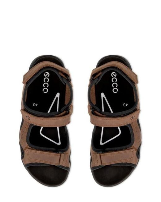 Ecco Brown Hike Sandal for men