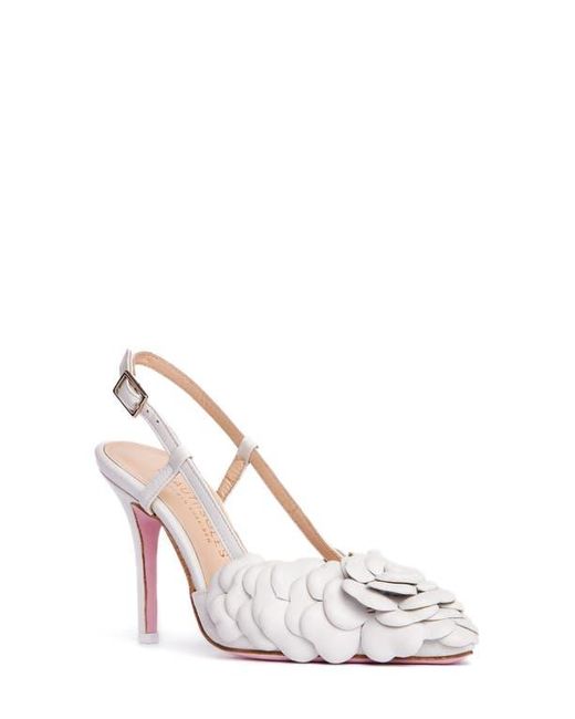 Elissa Pumps with Pointed Toe