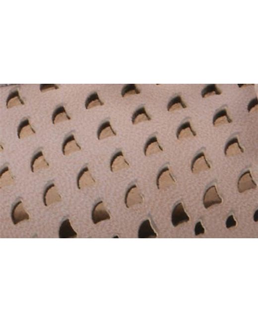 White Mountain Brown Carris Perforated Flat