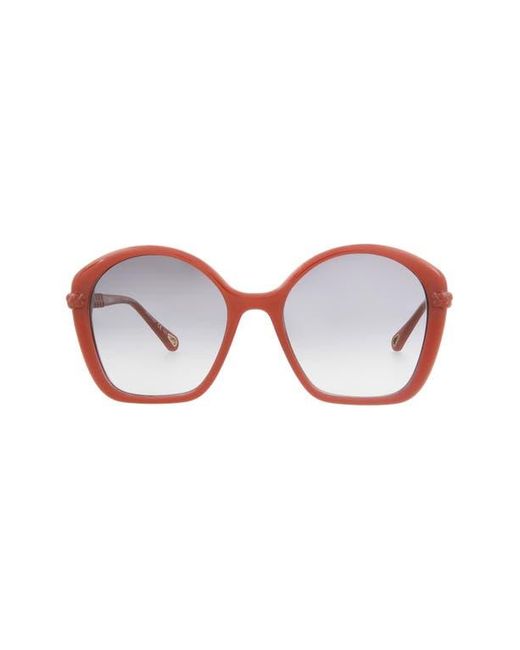 Chloé Multicolor 55Mm Chloe Core Sunglasses