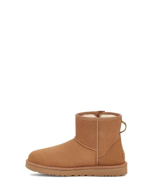 Ugg Brown Classic Mini Bailey Zip Boot