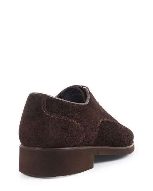 VELLAPAIS Brown Moxy Derby for men