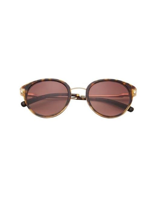 Ted Baker Brown 50Mm Gradient Round Sunglasses