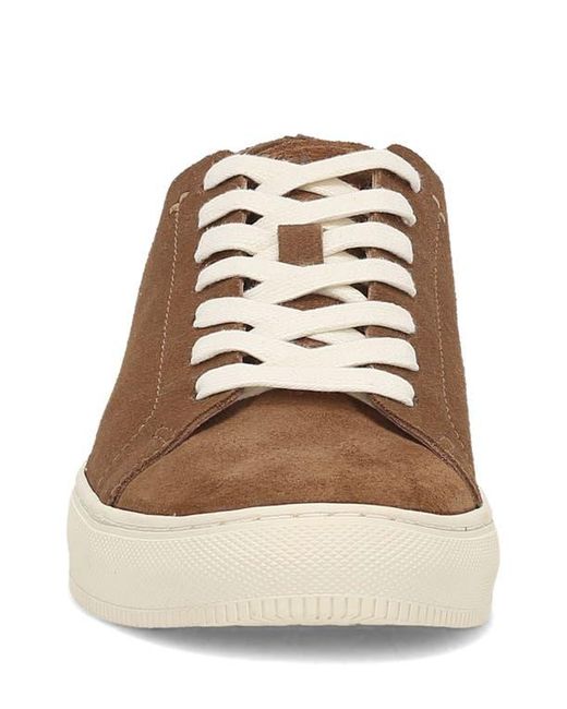 Frye Brown Astor Sneaker for men
