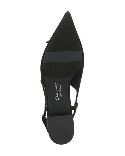 Circus by Sam Edelman Black Delanie Pointed Toe Slingback Flat