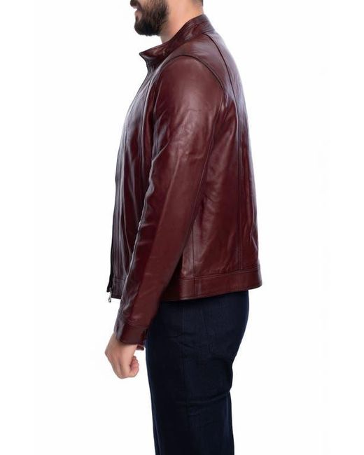 VELLAPAIS Purple Smooth Leather Jacket for men