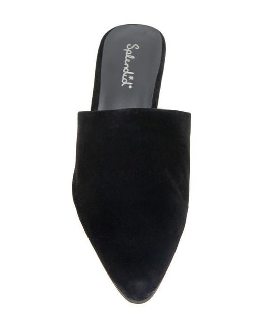 Splendid Black Laylai Pointed Toe Mule