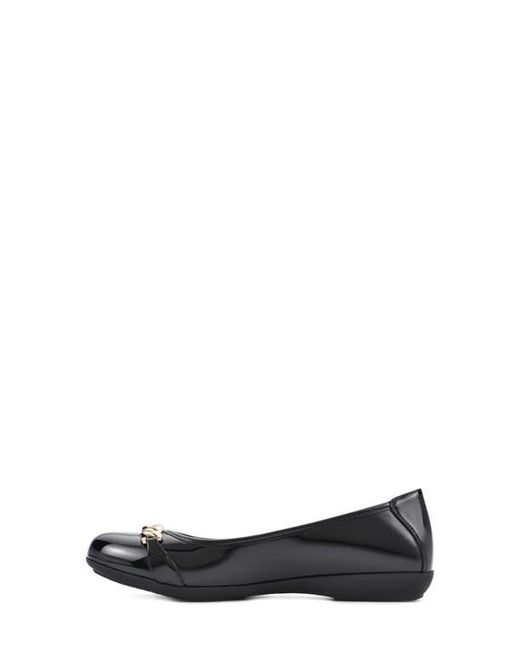 White Mountain Black Mountain Charmed Flat
