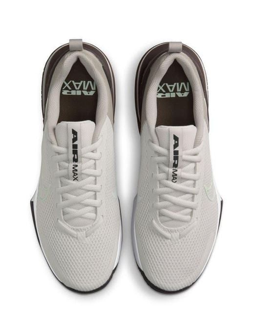 Nike Metallic Air Max Alpha Trainer 6 Training Shoe for men