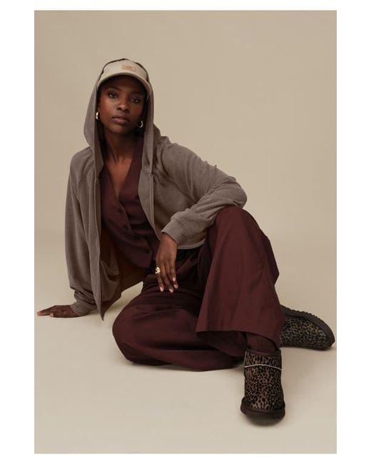 Ugg Brown Classic Mini Caspian Boots
