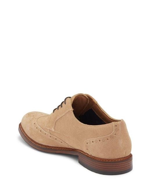 Steve Madden Brown Eferm Wingtip Derby for men