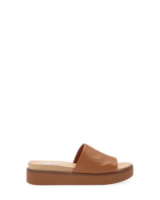 Steve Madden Brown Robyn Platform Slide Sandal
