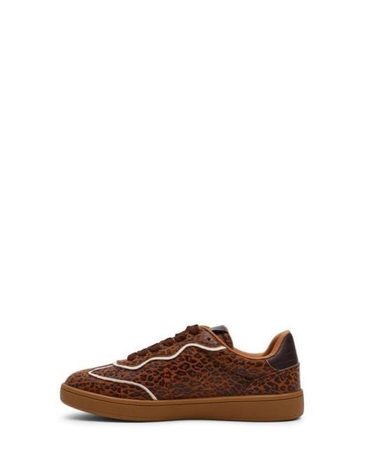 Dolce Vita Brown Venessa Low Top Sneaker