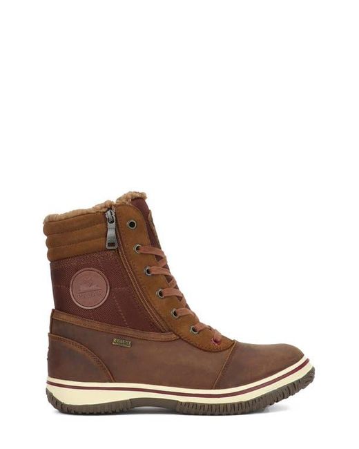 Pajar Brown Trooper 2.0 Waterproof Boot for men