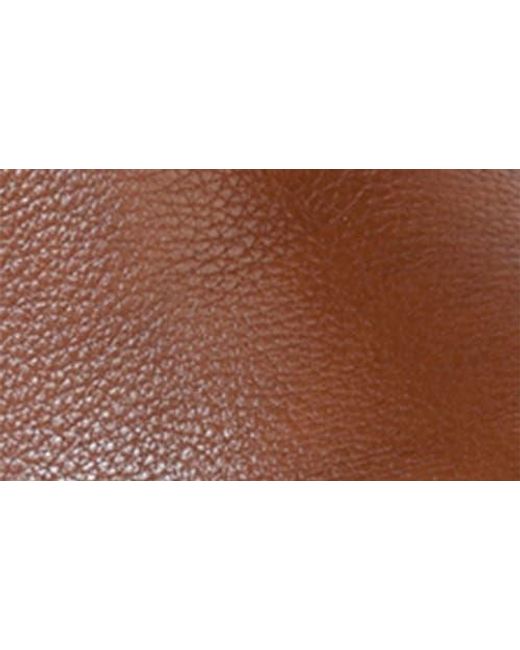 Seychelles Brown Because We Can Knee High Boot