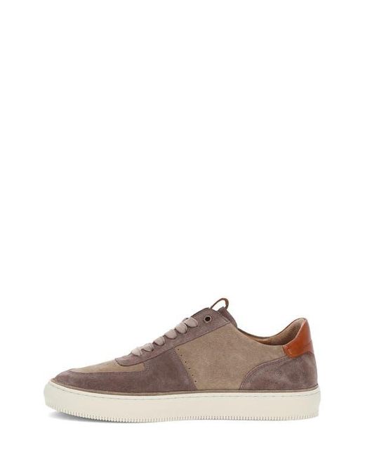 Frye Brown Astor Court Low Top Sneaker for men