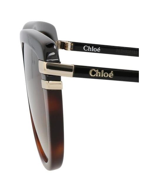 Chloé Natural 59Mm Square Sunglasses