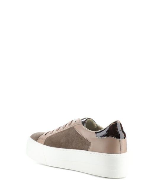 Bos. & Co. Multicolor Maude Platform Sneaker