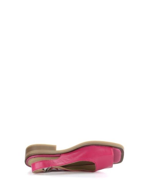 Bos. & Co. Pink Elena Slingback Flat