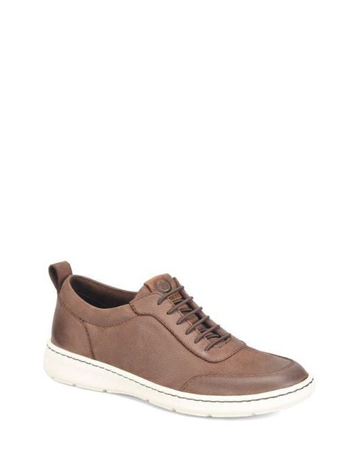 Børn Brown Conrad Ii Sneaker for men