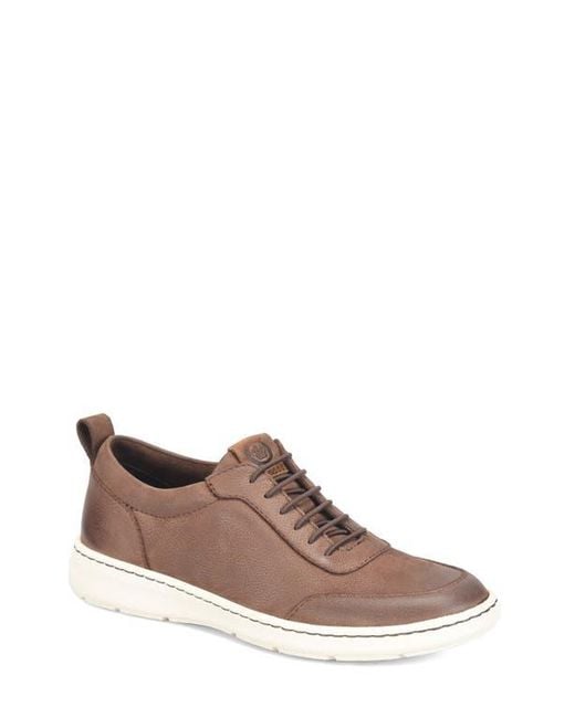 Børn Brown Conrad Ii Sneaker for men